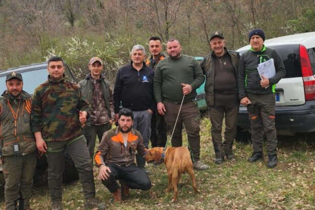 Monitoraggio peste suina africana