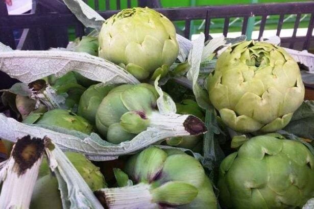 Carciofi