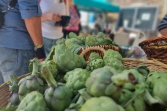 Carciofo bianco, Pertosa