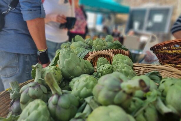 Carciofo bianco, Pertosa