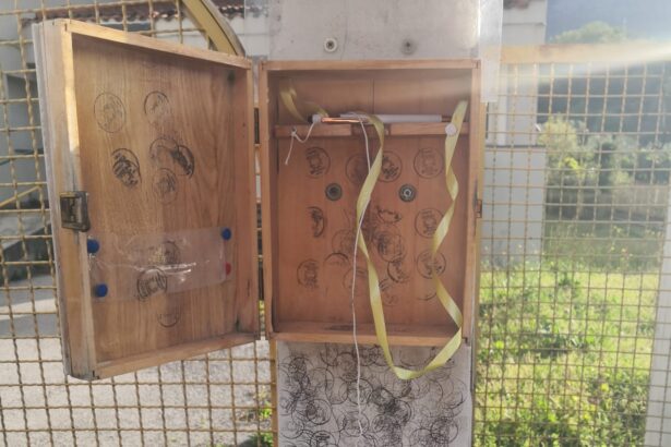 Sapri, cassetta vandalizzata