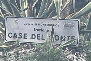 Montecorice, Case del Conte