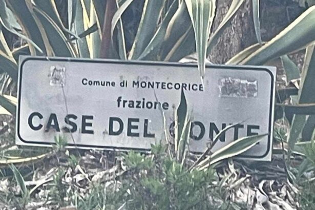 Montecorice, Case del Conte