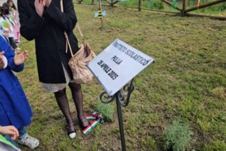 Polla, frutteto scolastico