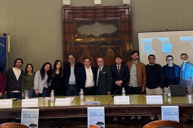 Provincia, progetto Politeia