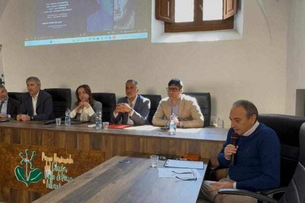 Vallo, Nicola Botti Italia Viva