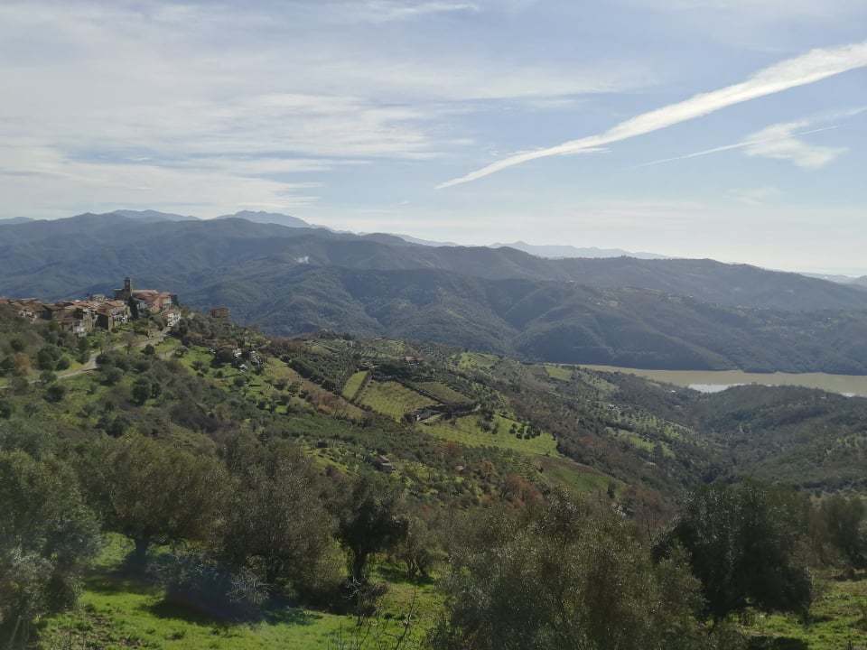 Cicerale