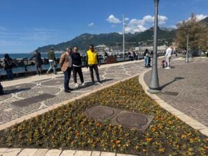 Fiori lungomare di Salerno