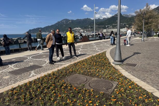 Fiori lungomare di Salerno