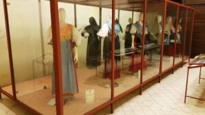 Museo Civico Insteia Polla