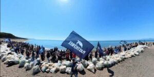 Plastic Free