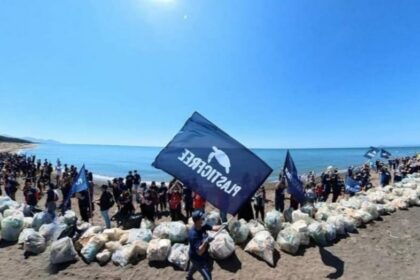 Plastic Free