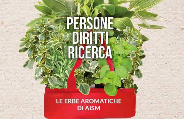 Erbe aromatiche Aism