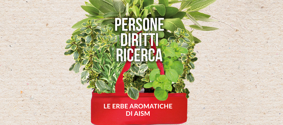 Erbe aromatiche Aism