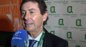 Antonio Costantino, presidente Confagricoltura Salerno