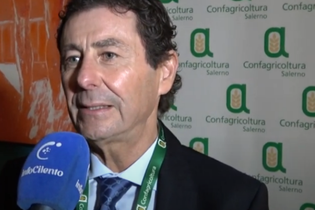 Antonio Costantino, presidente Confagricoltura Salerno