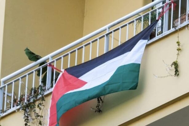 Bandiera palestinese