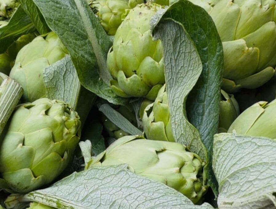 Bianco Tanagro