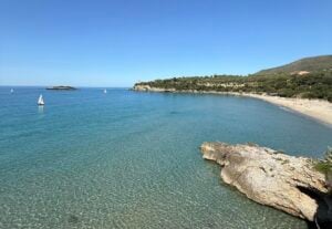 Camerota