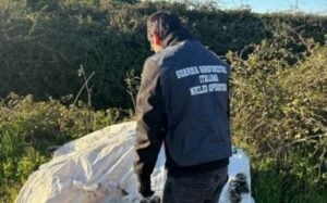 Guardia Agroforestale