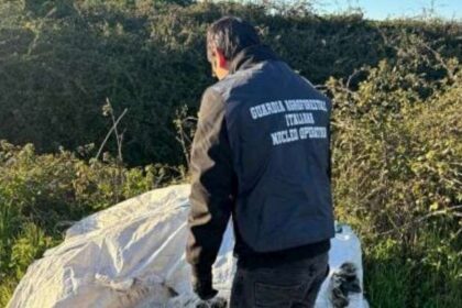 Guardia Agroforestale