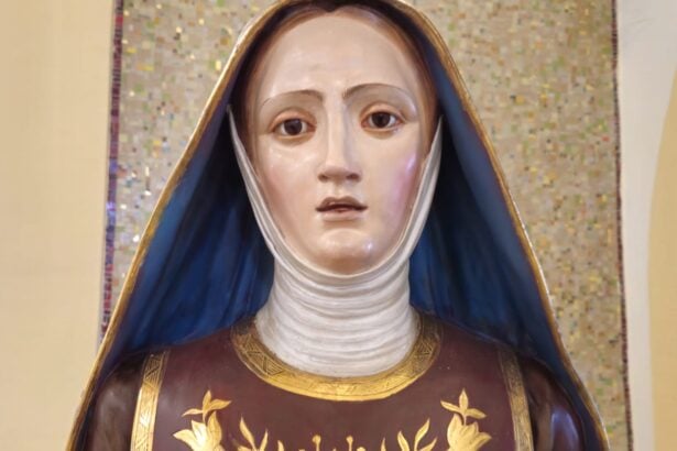 Santa Sofia, Albanella