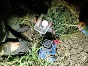 Sequestro richiami acustici