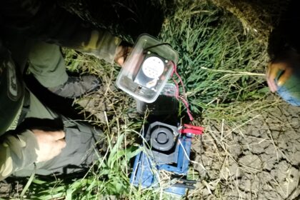 Sequestro richiami acustici