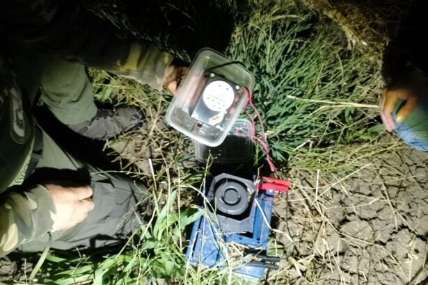 Sequestro richiami acustici