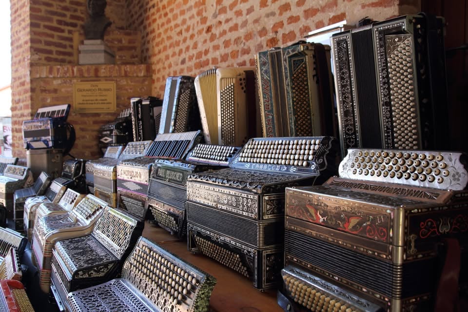 Accordion Vinovo