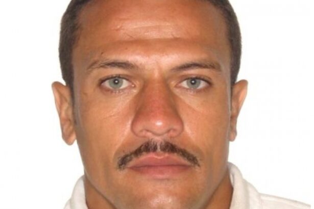 Bruno Humberto Damiani