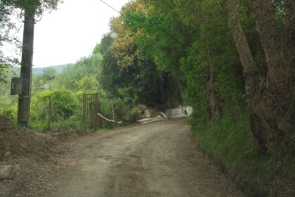 Centola Strada