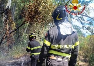 Incendio Pineta Eboli