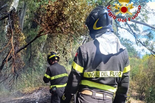 Incendio Pineta Eboli