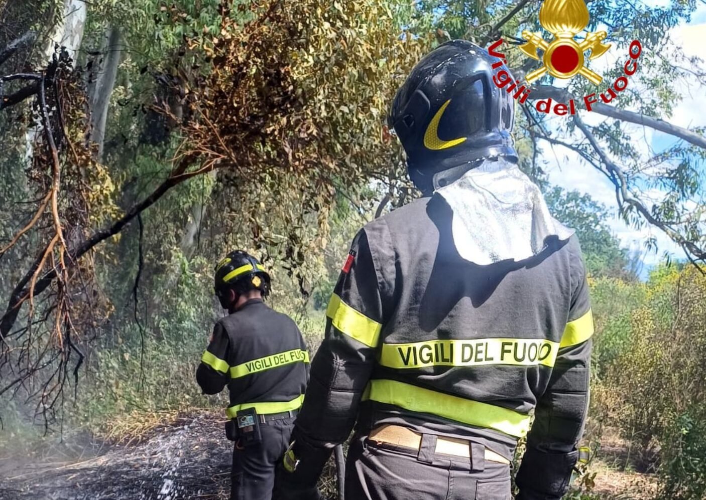 Incendio Pineta Eboli
