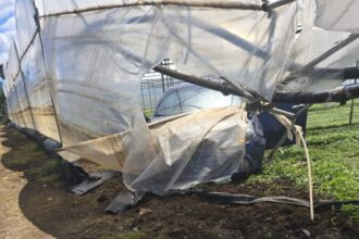 Incidente Montecorvino Pugliano