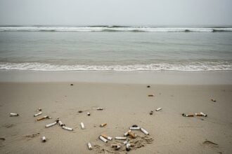 Mozziconi Sigarette Spiaggia