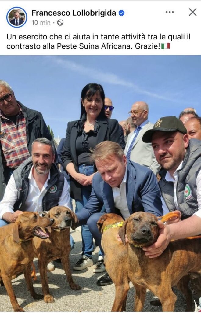 Pro segugio