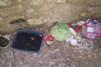 Altavilla Silentina, rifiuti abbandonati