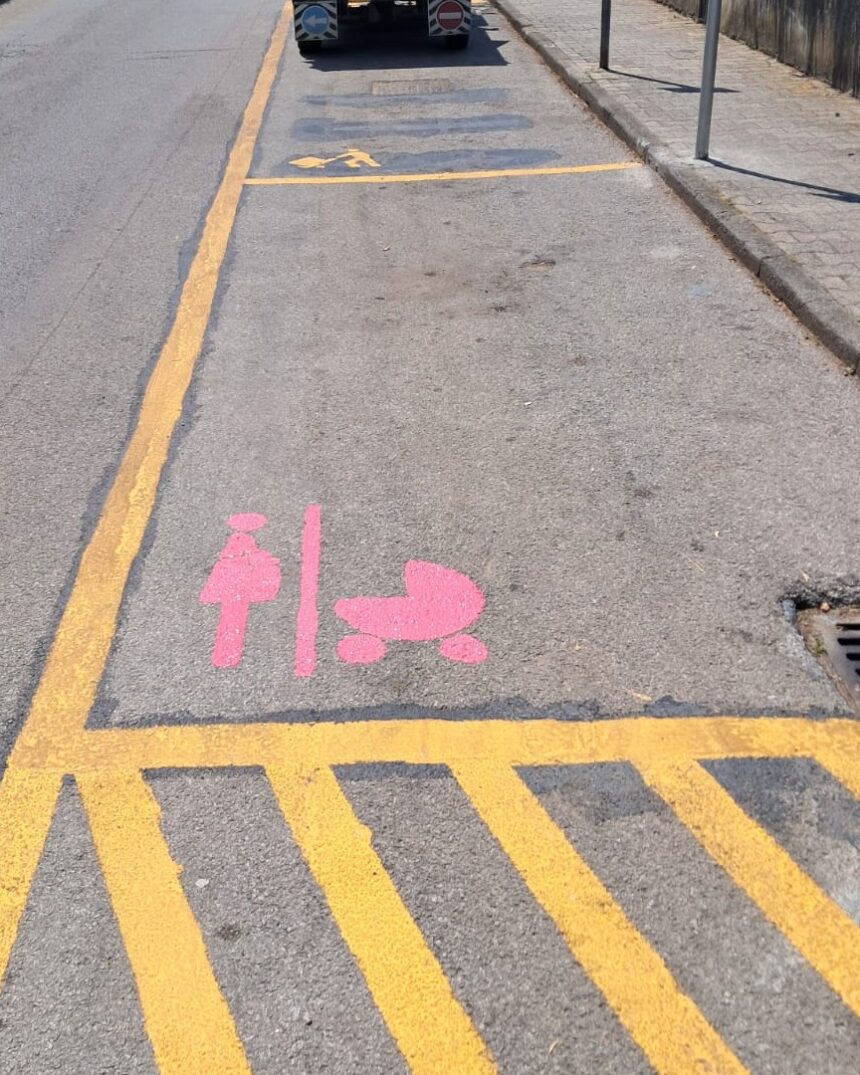 Camerota, stalli rosa