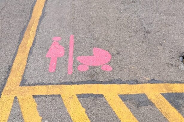 Camerota, stalli rosa