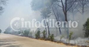 Capaccio incendio Foce Sele