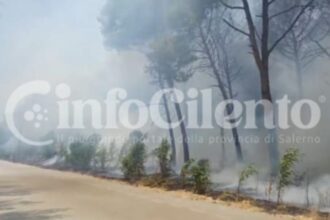 Capaccio incendio Foce Sele