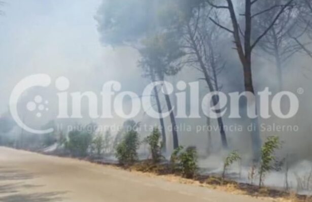 Capaccio incendio Foce Sele