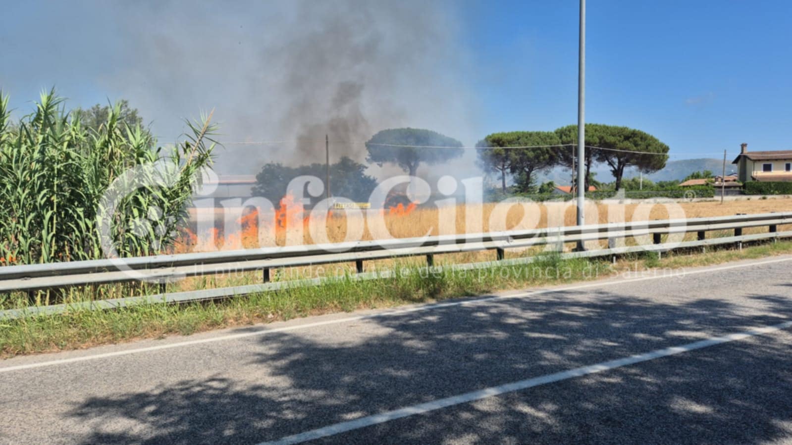 Castellabate, incendio