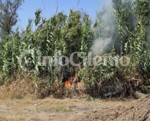 Incendio Capaccio, Gromola