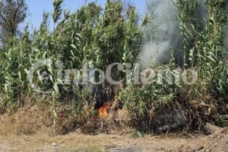 Incendio Capaccio, Gromola