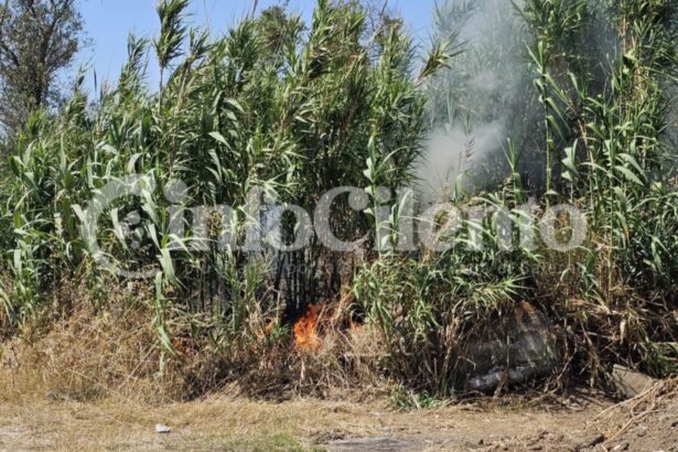 Incendio Capaccio, Gromola