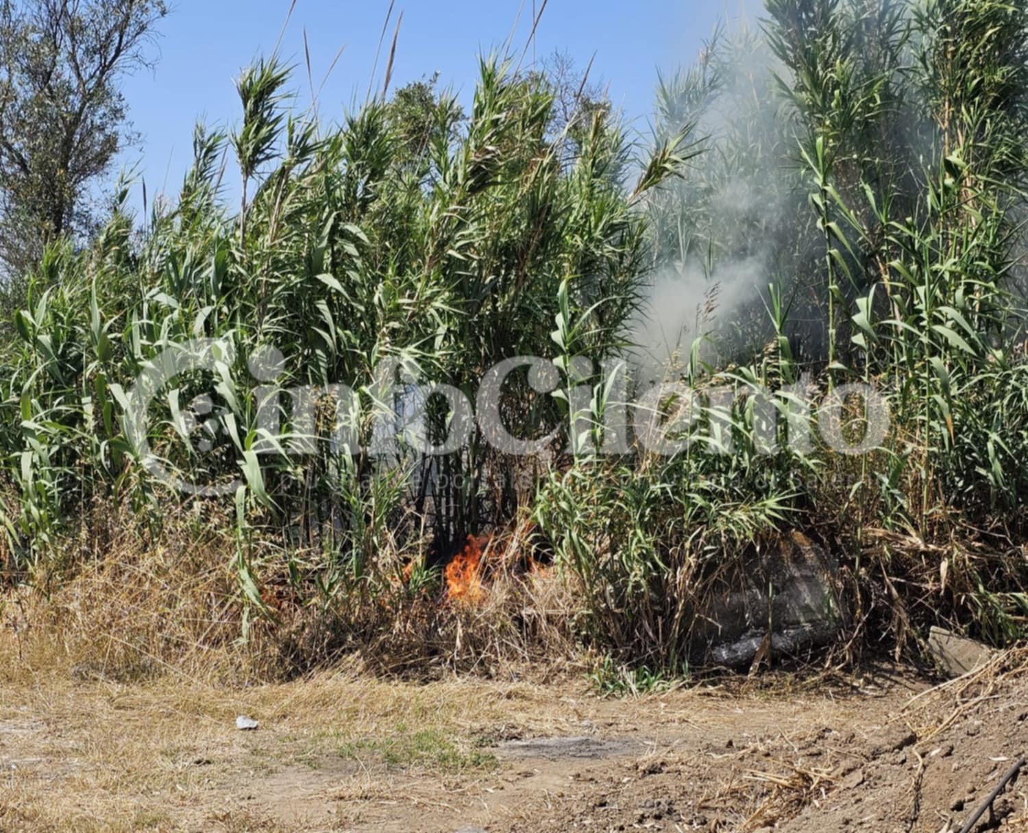 Incendio Capaccio, Gromola