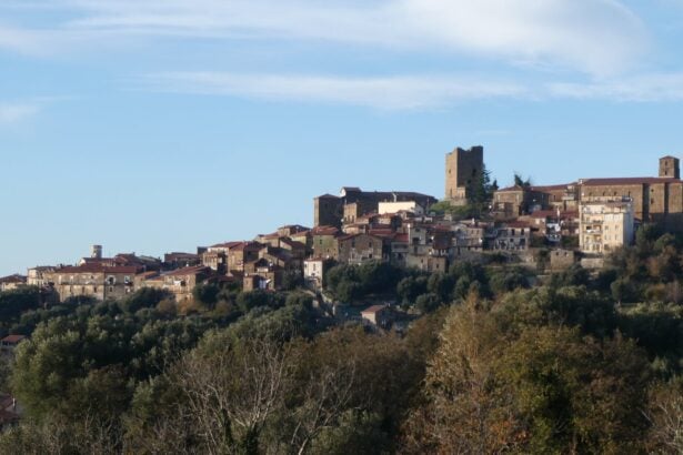 Novi Velia, panorama